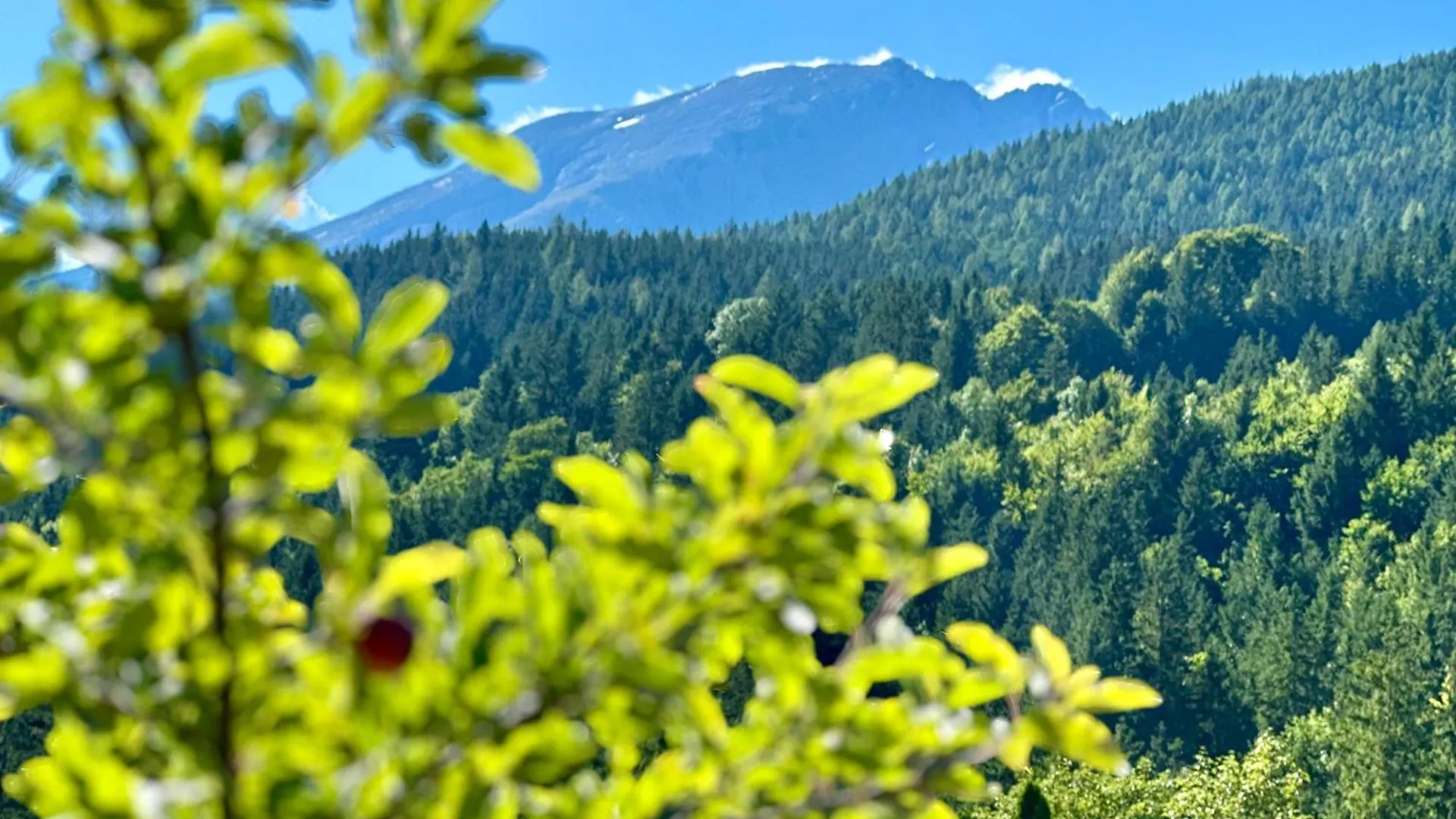 Apartment Haus Bergwelten Ramsau - Hintermuehle Ramsau bei Berchtesgaden Germany